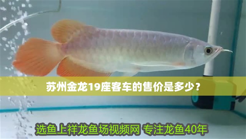 龍魚有寄生蟲自己能恢復嗎 龍魚有寄生蟲自己能恢復嗎 龍魚百科