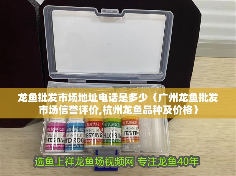 龍魚(yú)批發(fā)市場(chǎng)地址電話(huà)是多少（廣州龍魚(yú)批發(fā)市場(chǎng)信譽(yù)評(píng)價(jià),杭州龍魚(yú)品種及價(jià)格）