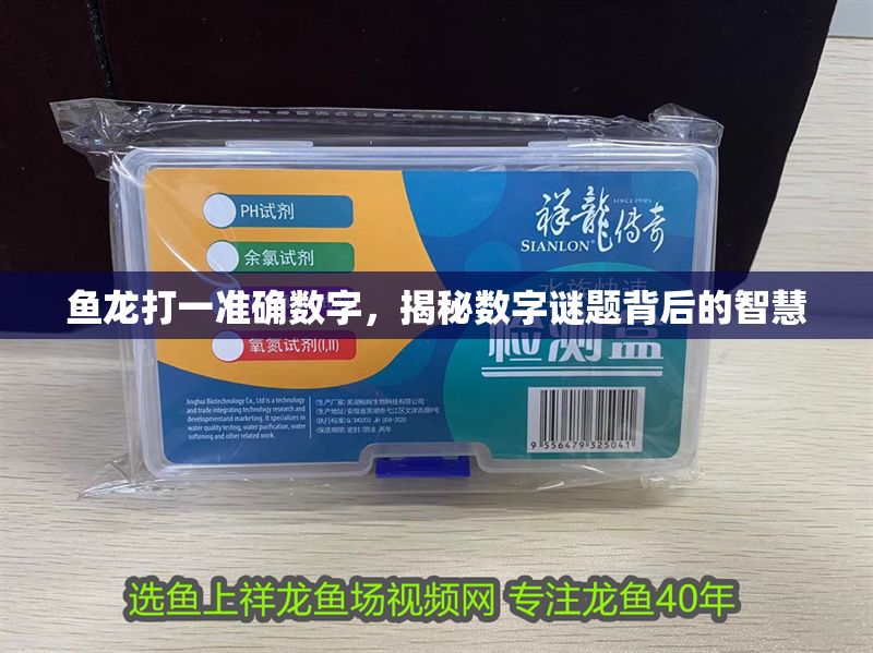 魚龍打一準確數字，揭秘數字謎題背后的智慧