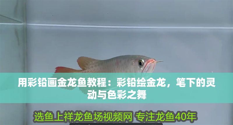 用彩鉛畫金龍魚教程：彩鉛繪金龍，筆下的靈動與色彩之舞
