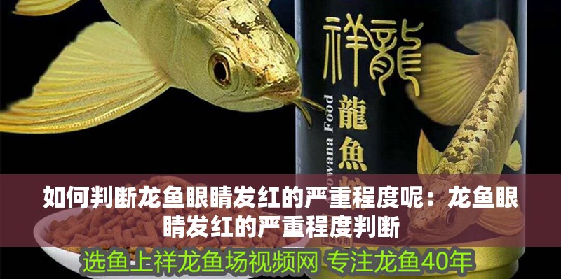 如何判斷龍魚眼睛發紅的嚴重程度呢：龍魚眼睛發紅的嚴重程度判斷