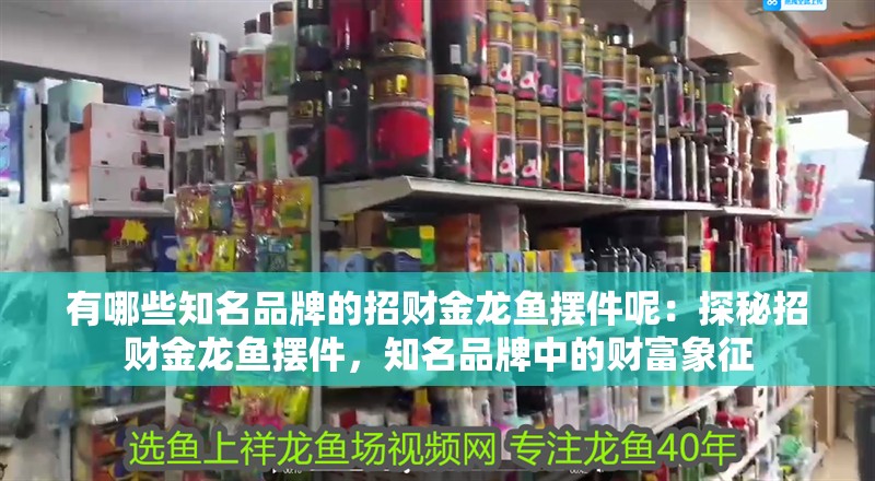 有哪些知名品牌的招財(cái)金龍魚擺件呢：探秘招財(cái)金龍魚擺件，知名品牌中的財(cái)富象征