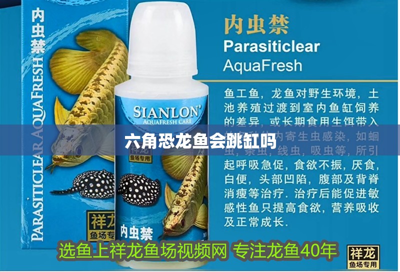 六角恐龍魚會跳缸嗎