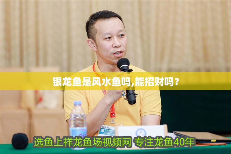 銀龍魚是風水魚嗎,能招財嗎？