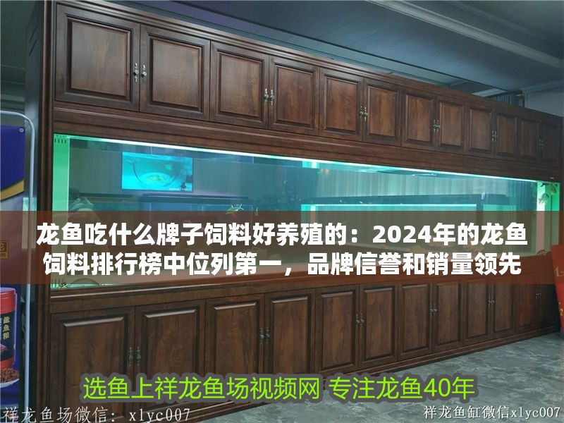 龍魚吃什么牌子飼料好養(yǎng)殖的：2024年的龍魚飼料排行榜中位列第一，品牌信譽和銷量領先