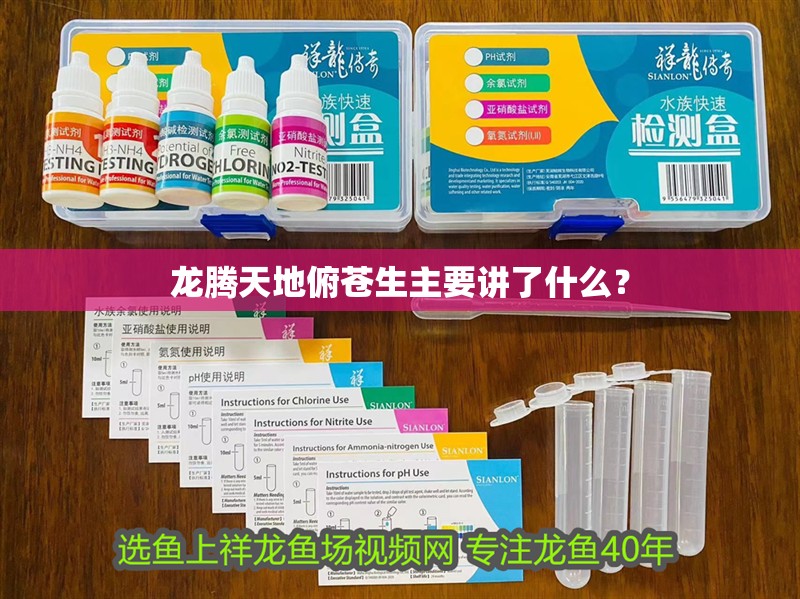 龍騰天地俯蒼生主要講了什么？