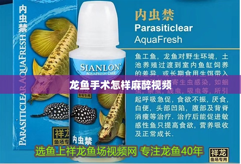 龍魚手術怎樣麻醉視頻