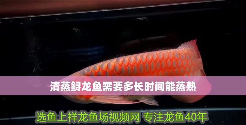 清蒸鱘龍魚需要多長時間能蒸熟