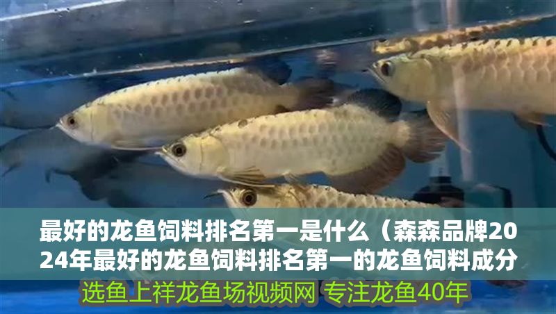 最好的龍魚飼料排名第一是什么（森森品牌2024年最好的龍魚飼料排名第一的龍魚飼料成分對(duì)比分析） 最好的龍魚飼料排名第一是什么（森森品牌2024年最好的龍魚飼料排名第一的龍魚飼料成分對(duì)比分析） 龍魚百科 第2張