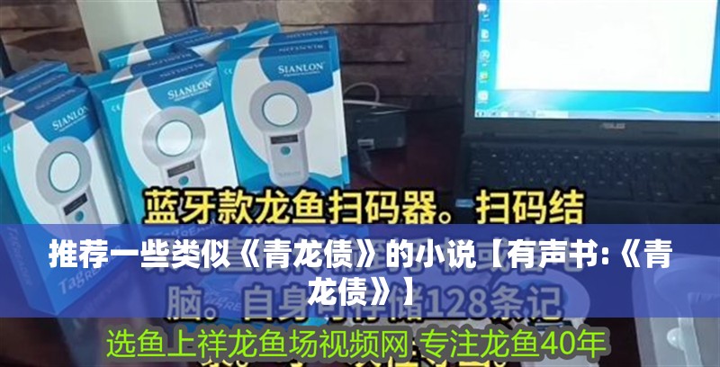 推薦一些類(lèi)似《青龍債》的小說(shuō)【有聲書(shū):《青龍債》】