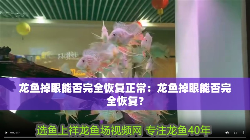 龍魚掉眼能否完全恢復正常：龍魚掉眼能否完全恢復？