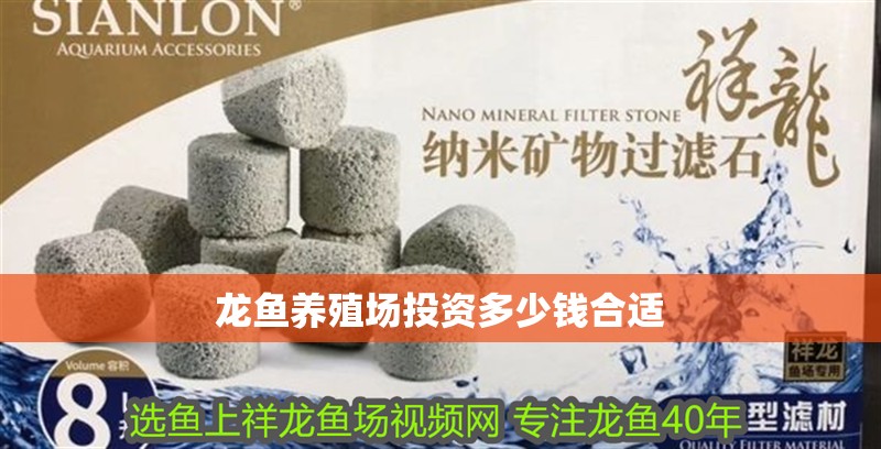 龍魚養(yǎng)殖場(chǎng)投資多少錢合適