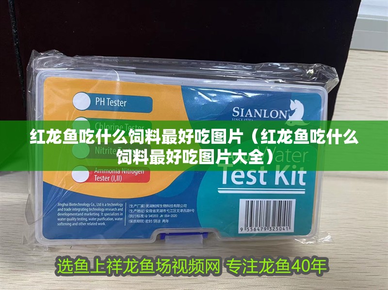 紅龍魚吃什么飼料最好吃圖片（紅龍魚吃什么飼料最好吃圖片大全）