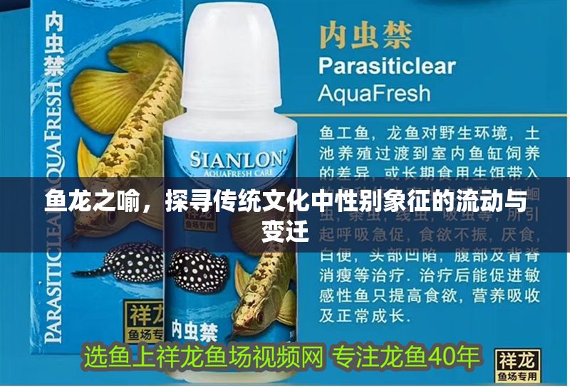 魚龍之喻，探尋傳統(tǒng)文化中性別象征的流動(dòng)與變遷