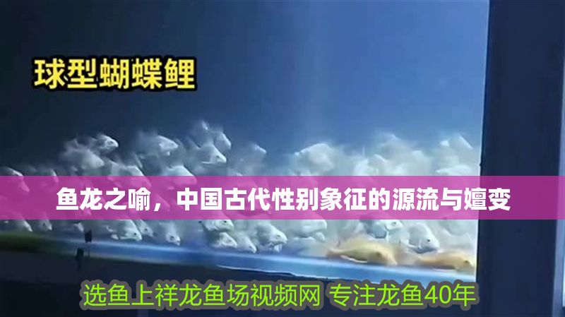 魚龍之喻，中國古代性別象征的源流與嬗變