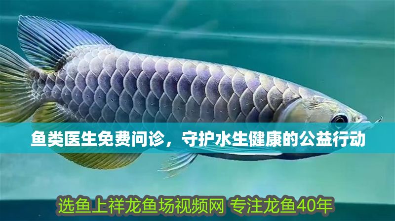 yee-king魚缸(yee魚缸是什么牌子)