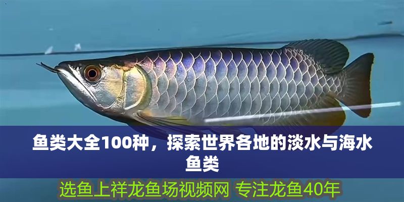 魚類大全100種，探索世界各地的淡水與海水魚類