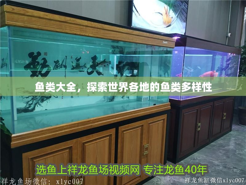 魚類大全，探索世界各地的魚類多樣性 魚類大全，探索世界各地的魚類多樣性 龍魚百科 第1張