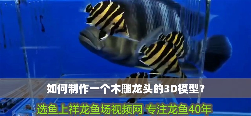 如何制作一個木雕龍頭的3D模型？