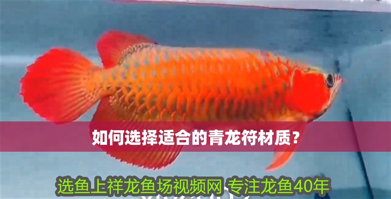 如何選擇適合的青龍符材質？