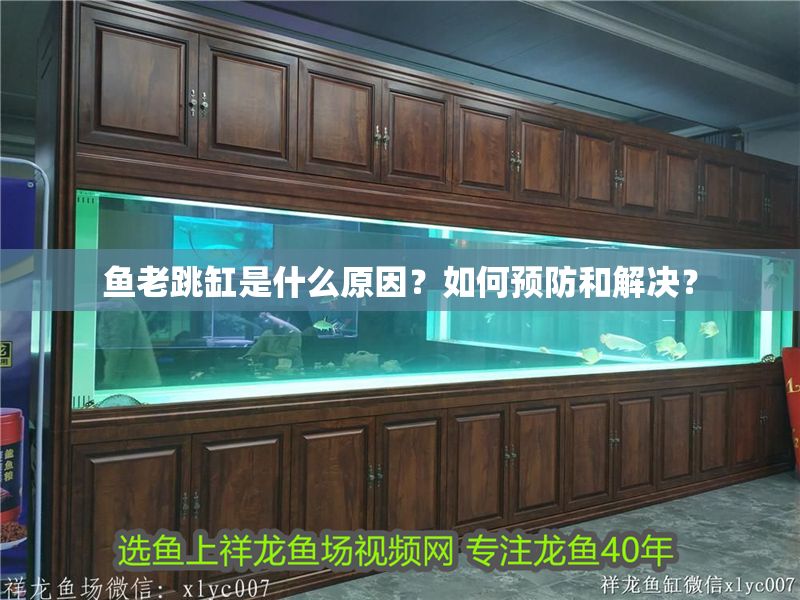 魚老跳缸是什么原因？如何預防和解決？