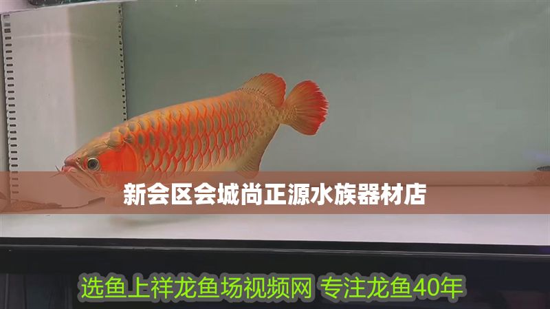新會區會城尚正源水族器材店 新會區會城尚正源水族器材店 全國水族館企業名錄 第1張