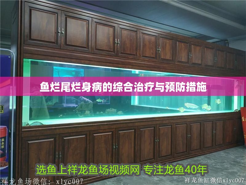 魚爛尾爛身病的綜合治療與預防措施 魚爛尾爛身病的綜合治療與預防措施 龍魚百科 第1張