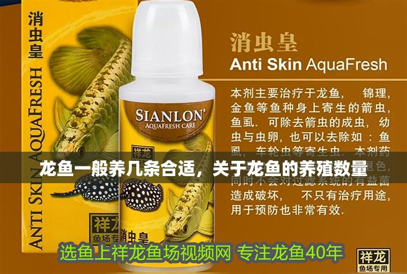 龍魚一般養幾條合適，關于龍魚的養殖數量