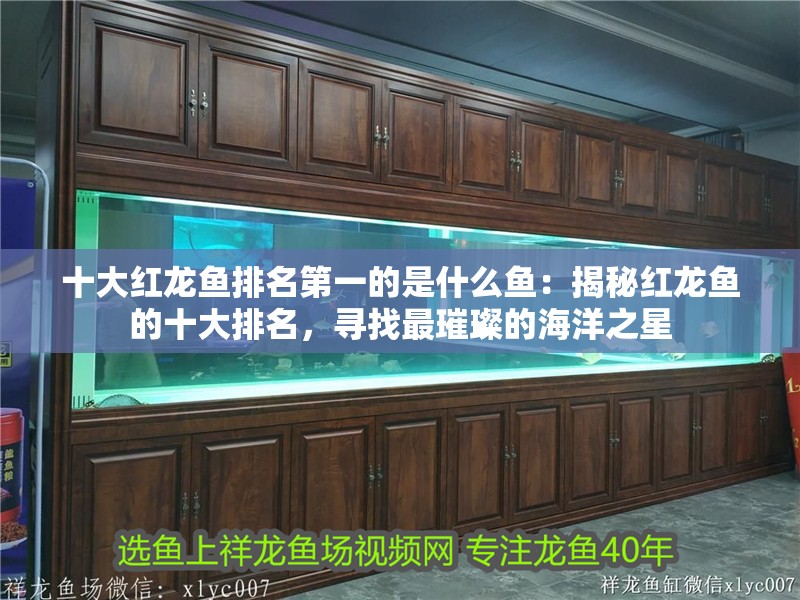 十大紅龍魚排名第一的是什么魚：揭秘紅龍魚的十大排名，尋找最璀璨的海洋之星