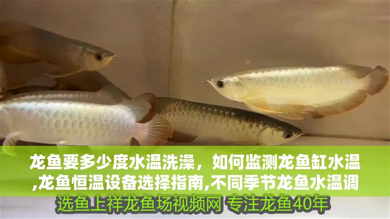 龍魚要多少度水溫洗澡，如何監測龍魚缸水溫,龍魚恒溫設備選擇指南,不同季節龍魚水溫調控