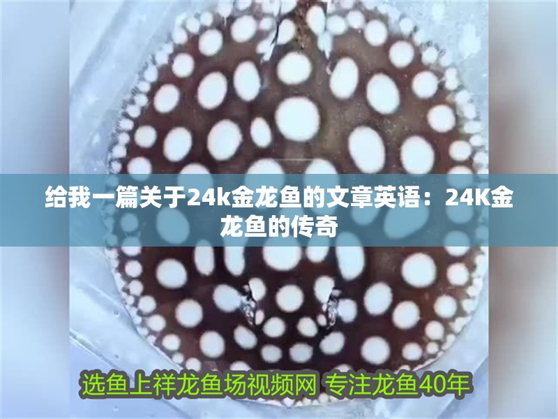 給我一篇關于24k金龍魚的文章英語：24K金龍魚的傳奇