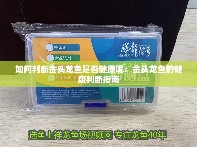 如何判斷金頭龍魚是否健康呢：金頭龍魚的健康判斷指南 如何判斷金頭龍魚是否健康呢：金頭龍魚的健康判斷指南 水族問答