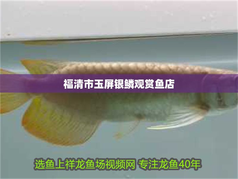 福清市玉屏銀鱗觀賞魚店