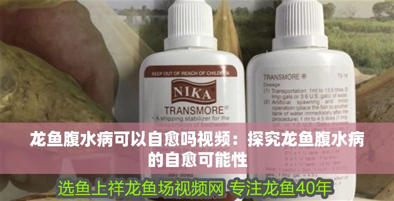 龍魚腹水病可以自愈嗎視頻：探究龍魚腹水病的自愈可能性 龍魚腹水病可以自愈嗎視頻：探究龍魚腹水病的自愈可能性 水族問答