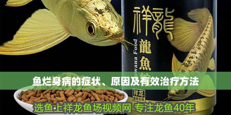 魚爛身病的癥狀、原因及有效治療方法