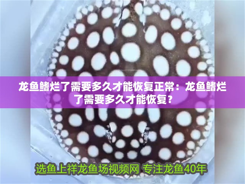 龍魚(yú)鰭爛了需要多久才能恢復(fù)正常：龍魚(yú)鰭爛了需要多久才能恢復(fù)？