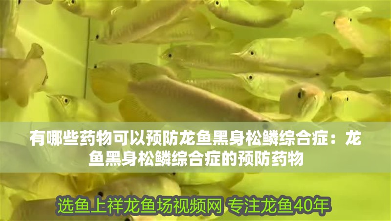 有哪些藥物可以預(yù)防龍魚黑身松鱗綜合癥：龍魚黑身松鱗綜合癥的預(yù)防藥物