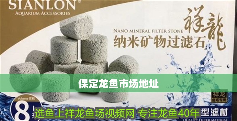 保定龍魚市場(chǎng)地址 保定龍魚市場(chǎng)地址 龍魚百科