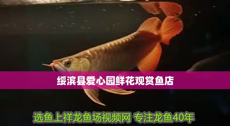 綏濱縣愛心園鮮花觀賞魚店