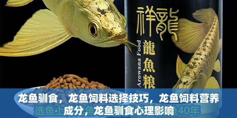 龍魚馴食，龍魚飼料選擇技巧，龍魚飼料營養成分，龍魚馴食心理影響 龍魚馴食，龍魚飼料選擇技巧，龍魚飼料營養成分，龍魚馴食心理影響 龍魚百科 第2張