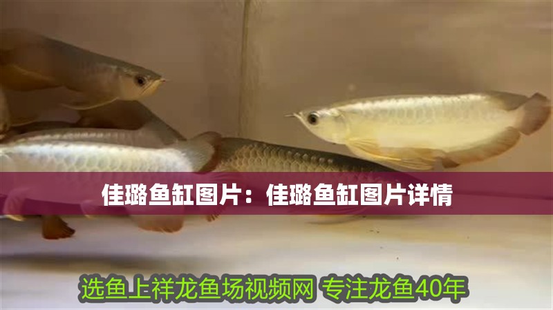 佳璐魚缸圖片：佳璐魚缸圖片詳情
