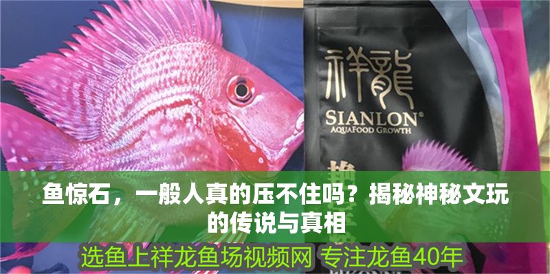 魚(yú)驚石，一般人真的壓不住嗎？揭秘神秘文玩的傳說(shuō)與真相