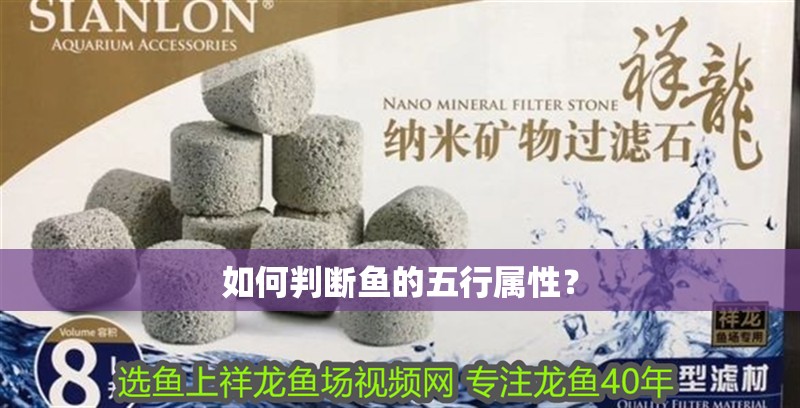 如何判斷魚的五行屬性？ 如何判斷魚的五行屬性？ 龍魚百科
