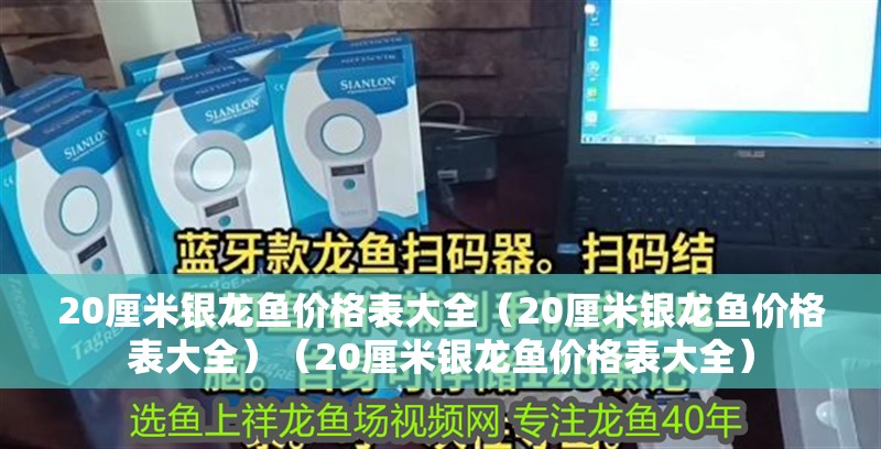 20厘米銀龍魚價格表大全（20厘米銀龍魚價格表大全）（20厘米銀龍魚價格表大全）