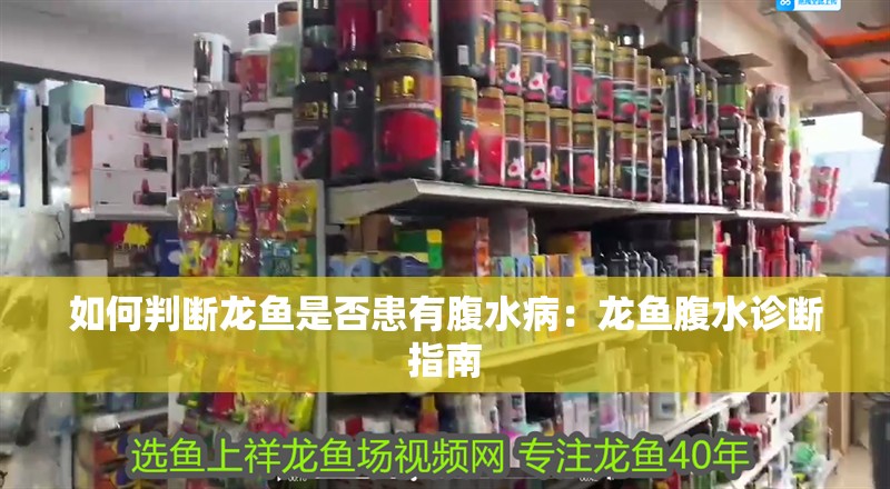 如何判斷龍魚是否患有腹水?。糊堲~腹水診斷指南