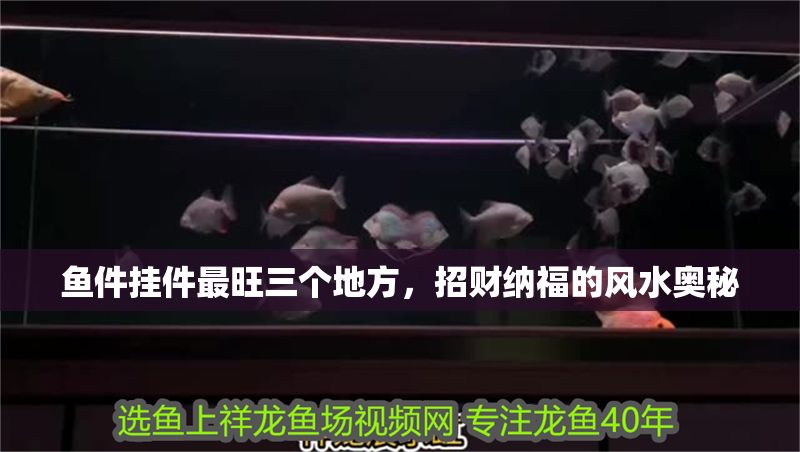 魚件掛件最旺三個地方，招財納福的風水奧秘 魚件掛件最旺三個地方，招財納福的風水奧秘 龍魚百科 第1張