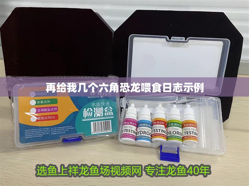 再給我?guī)讉€六角恐龍喂食日志示例