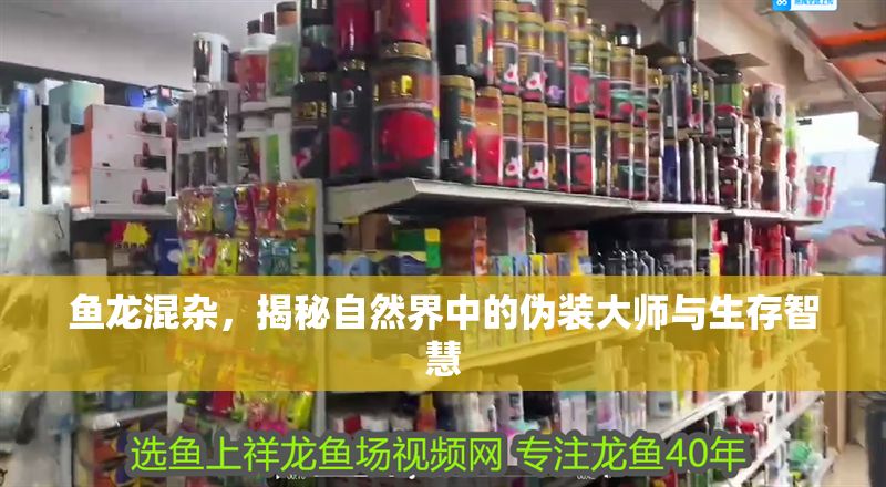 魚龍混雜，揭秘自然界中的偽裝大師與生存智慧