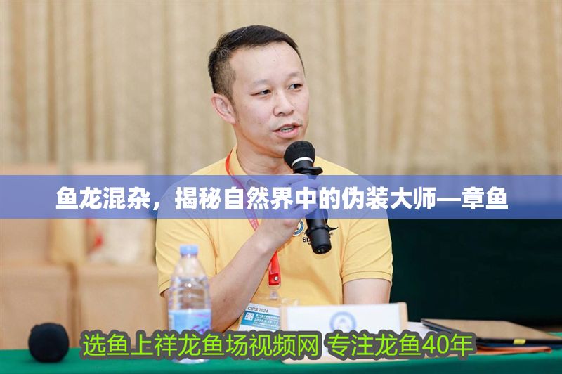 魚龍混雜，揭秘自然界中的偽裝大師—章魚 魚龍混雜，揭秘自然界中的偽裝大師—章魚 龍魚百科 第1張