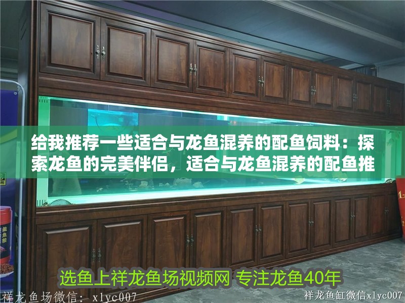 給我推薦一些適合與龍魚混養的配魚飼料：探索龍魚的完美伴侶，適合與龍魚混養的配魚推薦